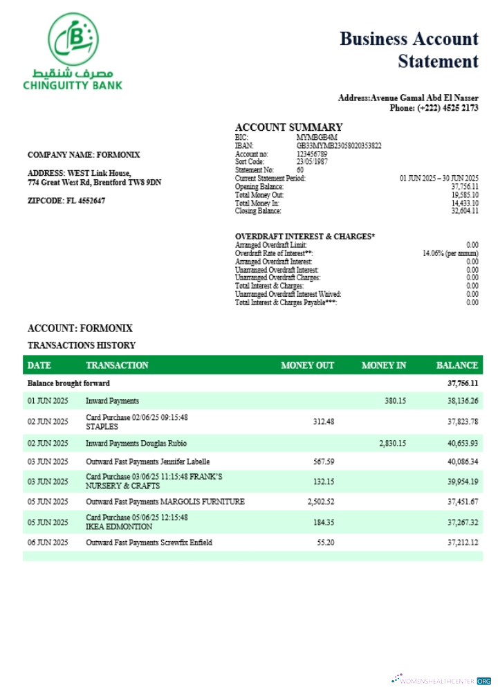 Download Chinguitty firm account statement Word and PDF template (1) Photoshop template